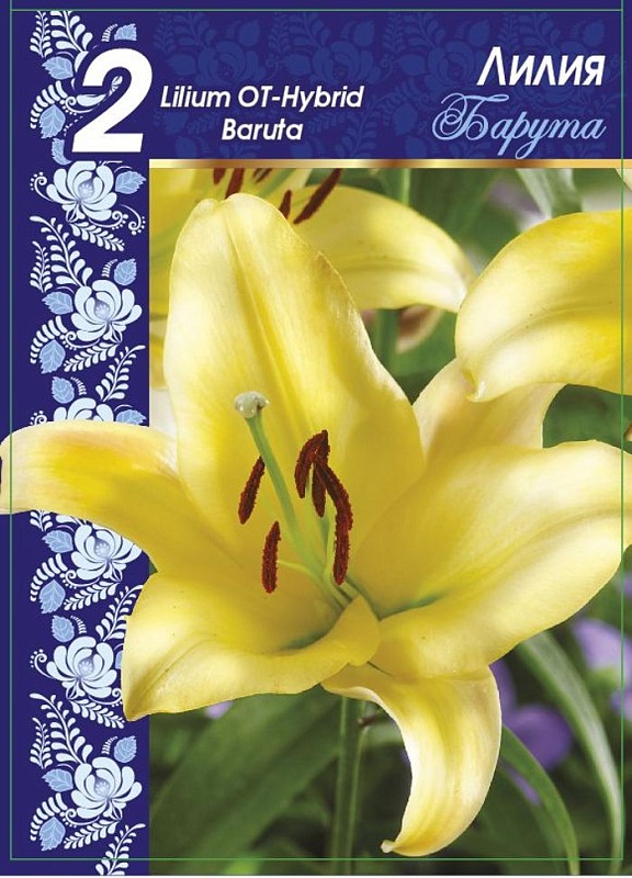 Лилия Барута 1 уп. (2 шт.)